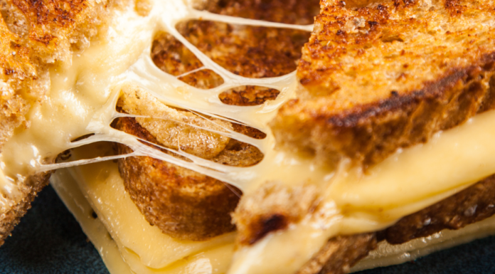 GRILLED CHEESE SANDWICH