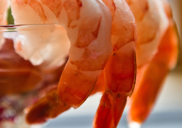 shrimp-cocktail
