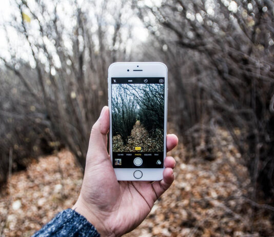 Watch Really Funny Animals Do Crazy Things